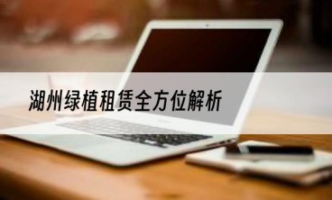 湖州绿植租赁全方位解析