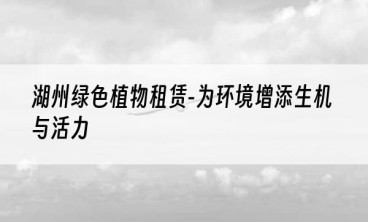 湖州绿色植物租赁-为环境增添生机与活力