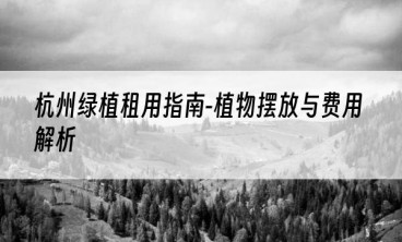 杭州绿植租用指南-植物摆放与费用解析