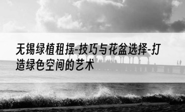 无锡绿植租摆-技巧与花盆选择-打造绿色空间的艺术
