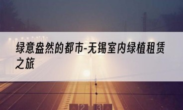 绿意盎然的都市-无锡室内绿植租赁之旅
