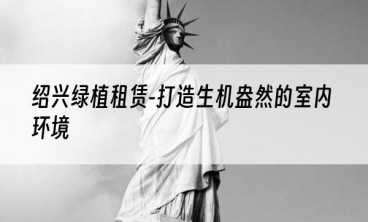 绍兴绿植租赁-打造生机盎然的室内环境