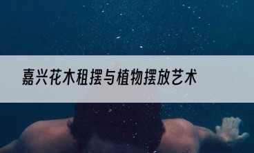 嘉兴花木租摆与植物摆放艺术