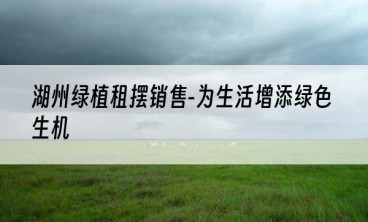 湖州绿植租摆销售-为生活增添绿色生机