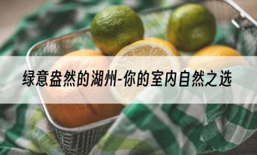 绿意盎然的湖州-你的室内自然之选