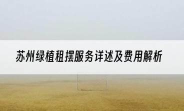 苏州绿植租摆服务详述及费用解析