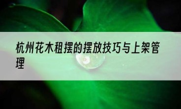 杭州花木租摆的摆放技巧与上架管理