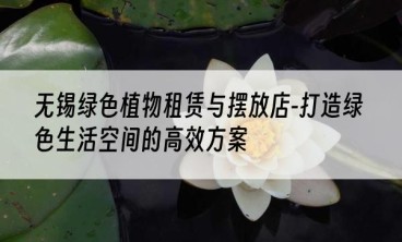 无锡绿色植物租赁与摆放店-打造绿色生活空间的高效方案