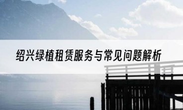 绍兴绿植租赁服务与常见问题解析