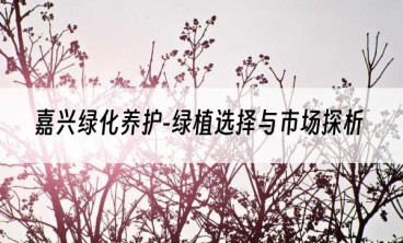 嘉兴绿化养护-绿植选择与市场探析