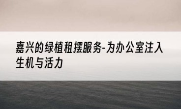 嘉兴的绿植租摆服务-为办公室注入生机与活力