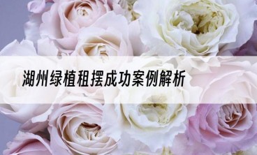 湖州绿植租摆成功案例解析