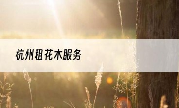 杭州租花木服务