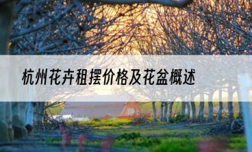 杭州花卉租摆价格及花盆概述