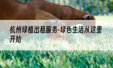 杭州绿植出租服务-绿色生活从这里开始