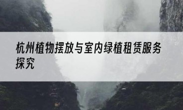 杭州植物摆放与室内绿植租赁服务探究