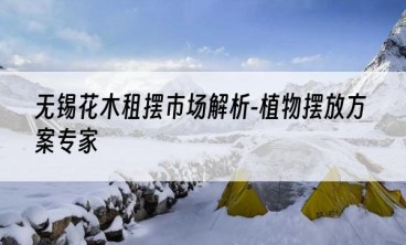 无锡花木租摆市场解析-植物摆放方案专家