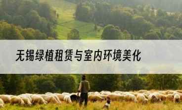 无锡绿植租赁与室内环境美化