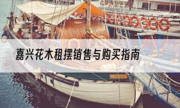 嘉兴花木租摆销售与购买指南