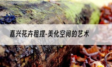 嘉兴花卉租摆-美化空间的艺术