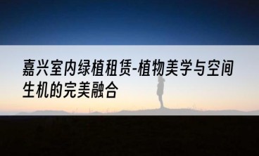 嘉兴室内绿植租赁-植物美学与空间生机的完美融合