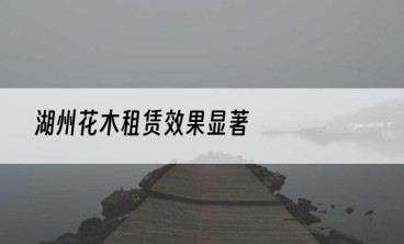 湖州花木租赁效果显著