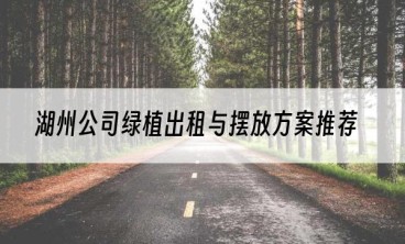 湖州公司绿植出租与摆放方案推荐