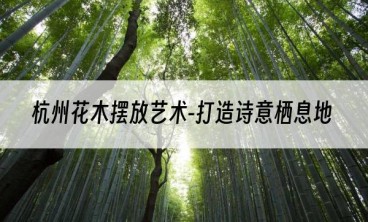 杭州花木摆放艺术-打造诗意栖息地