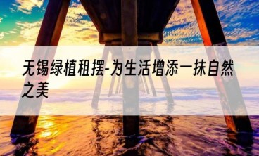 无锡绿植租摆-为生活增添一抹自然之美