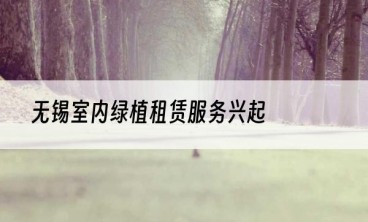 无锡室内绿植租赁服务兴起