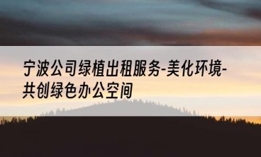 宁波公司绿植出租服务-美化环境-共创绿色办公空间