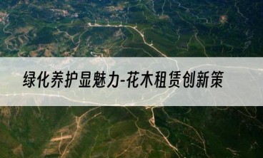 绿化养护显魅力-花木租赁创新策