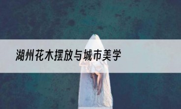 湖州花木摆放与城市美学