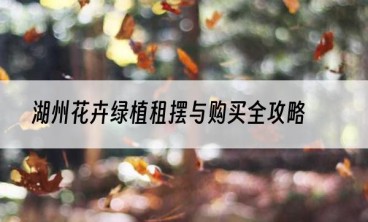 湖州花卉绿植租摆与购买全攻略