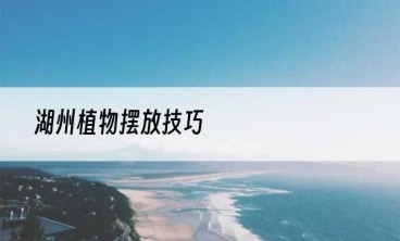 湖州植物摆放技巧