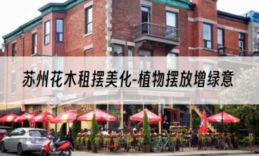 苏州花木租摆美化-植物摆放增绿意