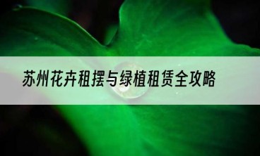 苏州花卉租摆与绿植租赁全攻略