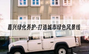 嘉兴绿化养护-打造城市绿色风景线