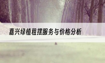嘉兴绿植租摆服务与价格分析