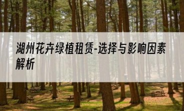湖州花卉绿植租赁-选择与影响因素解析