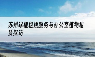 苏州绿植租摆服务与办公室植物租赁探访