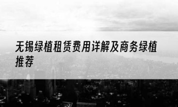 无锡绿植租赁费用详解及商务绿植推荐