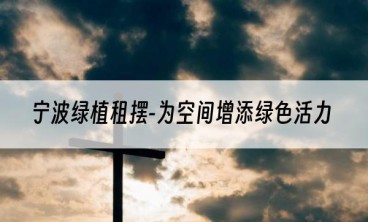 宁波绿植租摆-为空间增添绿色活力