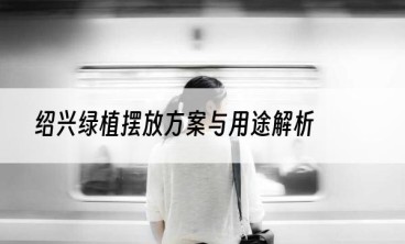 绍兴绿植摆放方案与用途解析