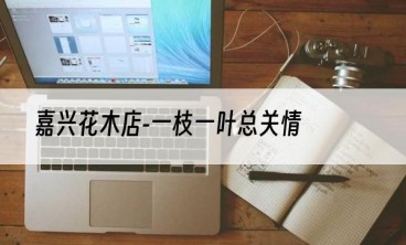 嘉兴花木店-一枝一叶总关情
