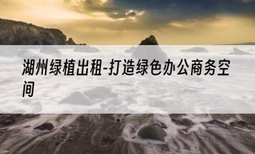 湖州绿植出租-打造绿色办公商务空间