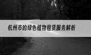 杭州市的绿色植物租赁服务解析