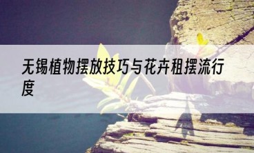 无锡植物摆放技巧与花卉租摆流行度