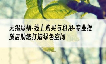 无锡绿植-线上购买与租用-专业摆放店助您打造绿色空间