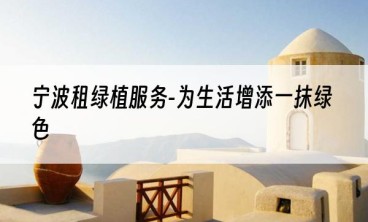 宁波租绿植服务-为生活增添一抹绿色